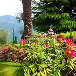 Casa La Rosa Aparthotel 4*