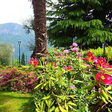 Casa La Rosa מלון דירות 3*